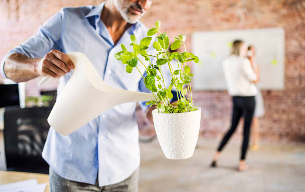 Employé en train d'arroser une plante verte au travail